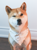 Pet Bandana (Beige)