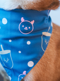 Pet Bandana (Blue)