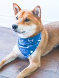 Pet Bandana (Blue)