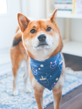 Pet Bandana (Blue)