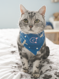 Pet Bandana (Blue)