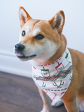 Pet Bandana (Holiday)