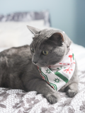 Pet Bandana (Holiday)